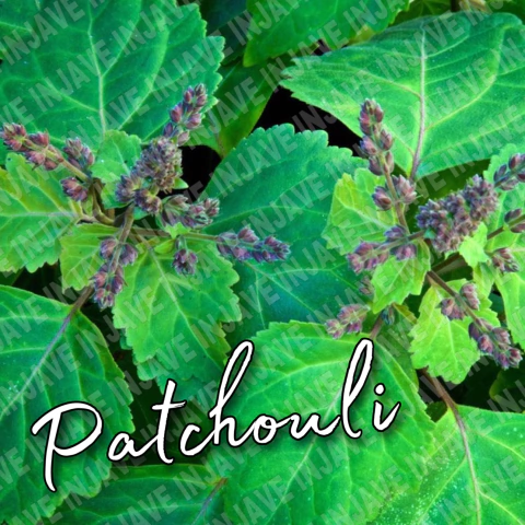 Fragsncia Patchouli para Velas