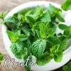 Fragancia Menta para Velas