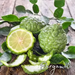 Fragancia Bergamota para Velas