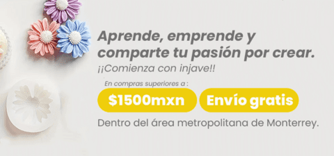 Imagen del carrusel INJAVE