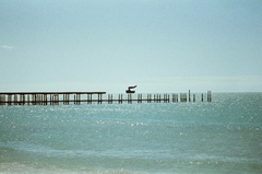 Kodak Vision 2 50D - comprar online