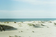 Kodak Vision 3 250D - comprar online