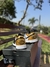 Air Jordan 1 Low Gold Toe n2 na internet