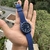 Relogio Lacoste L.12.12 (Azul) - comprar online