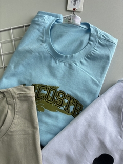 CAMISETA TAMANHO 14 na internet