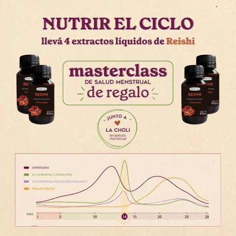 MENSTRUACIÓN | NUTRIR EL CICLO