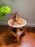 Imagem do Banqueta Terracota