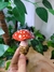Coleção Floresta encantada - loja online