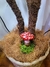 Coleção Floresta encantada - comprar online