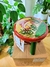 Mini Banqueta Cogumelo aurora - loja online