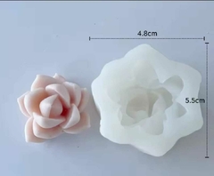 MOLDE SUCULENTA 21F3