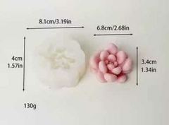 MOLDE SUCULENTA 21M2