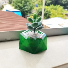 molde de silicona de maseta chico