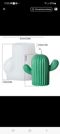 molde de silicona cactus 0203