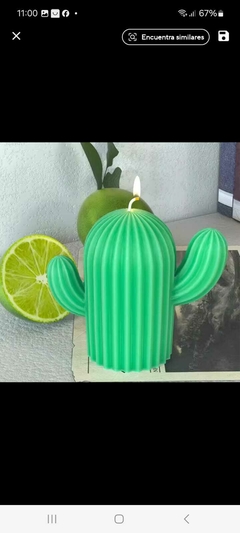 molde de silicona cactus 0203 - comprar online