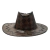 Chapéu Country Cowboy Adulto - Fantasias Fantástica