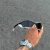 PENNY CARBON LENTES BLACK KIT BRANCO SIDE BLINDER BRANCO - comprar online