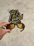 EYE JACKET PRETO LENTES GOLD CAFÉ na internet