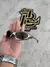 PENNY PLASMA LENTES VR28 SIDE BLINDER CINZA LINHA PREMIUM