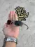 PENNY X METAL LENTES TORCH LINHA PREMIUM