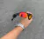 THUMP LENTES RUBY