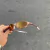 JULIET COOPER LENTES GOLD CAFÉ / KIT BRANCO na internet