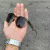 HSTN MARROM LENTES BLACK