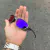 DOUBLE X LENTES TANZANITE +SIDE BLINDER CINZA