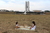 Arco-íris Gigante 12 Arcos - Natural - loja online