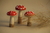 3 Cogumelos de Madeira - Colorido - comprar online