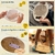 Kit - Labirinto de Mão e Prancha de Equilíbrio e Labirinto - comprar online