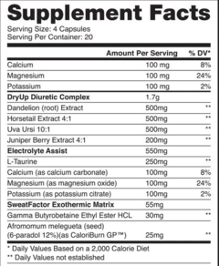 Dryup - 80 Caps (Dragon Pharma) - comprar online