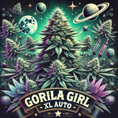 Gorila Girl XL AUTO (PACK 2 UN)