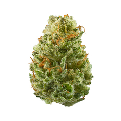 Berry Kush (PACK 2 UN) - comprar online
