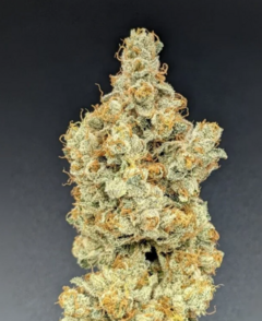 Biscotti Sundae (PACK 2UN) - comprar online