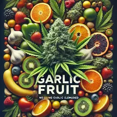 Garlic Fruit (PACK 2UN)