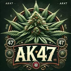 AK 47 (2UN) - comprar online