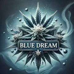 BLUE DREAM (2UN) - comprar online