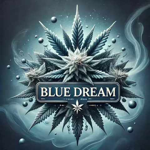 BLUE DREAM (2UN) - comprar online
