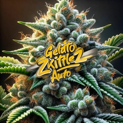 Gelato Zkittlez Auto (PACK 2UN)