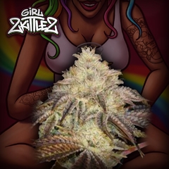 GIRL ZITTLEZ PACK 3x