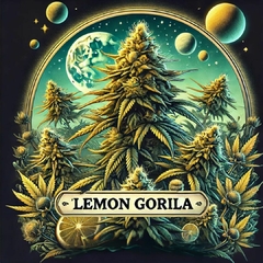 Lemon Gorila (PACK 2 UN)