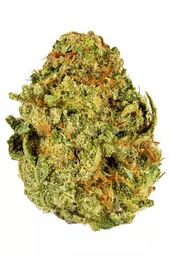 Lemon Gorila (PACK 2 UN) - comprar online