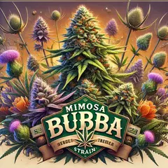 MIMOSA BUBBA AUTO (2UN) - comprar online