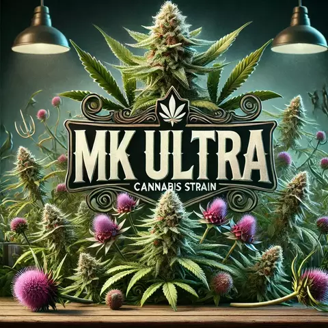 MK ULTRA (2UN) - comprar online