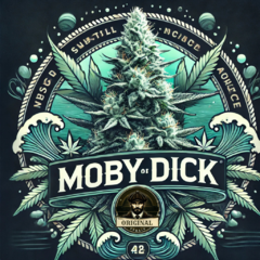 MOBY DICK (2UN) - comprar online