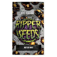 MOTOR MINT (PACK 3UN)