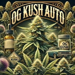 OG KUSH AUTO ( PACK 2UN)