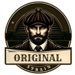 Wedding OG ( pack 2UN) - comprar online