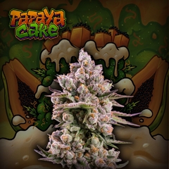 PAPAYA CAKE PACK DE 3 CRAZYSEEDS